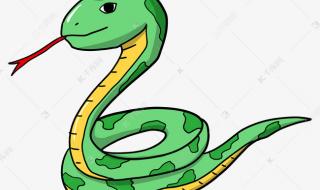 加拿大的蛇有几种 绿色的蛇有几种